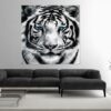 Moderní obraz na zeď – Tiger, 80 x 80 cm